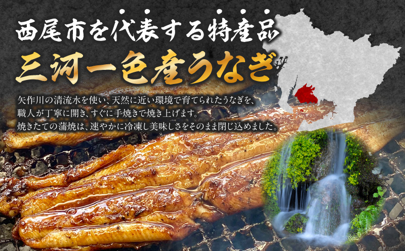 三河一色産手焼きうなぎの蒲焼と肝焼【蒲焼パック冷凍×3尾、肝焼×3個】・M099