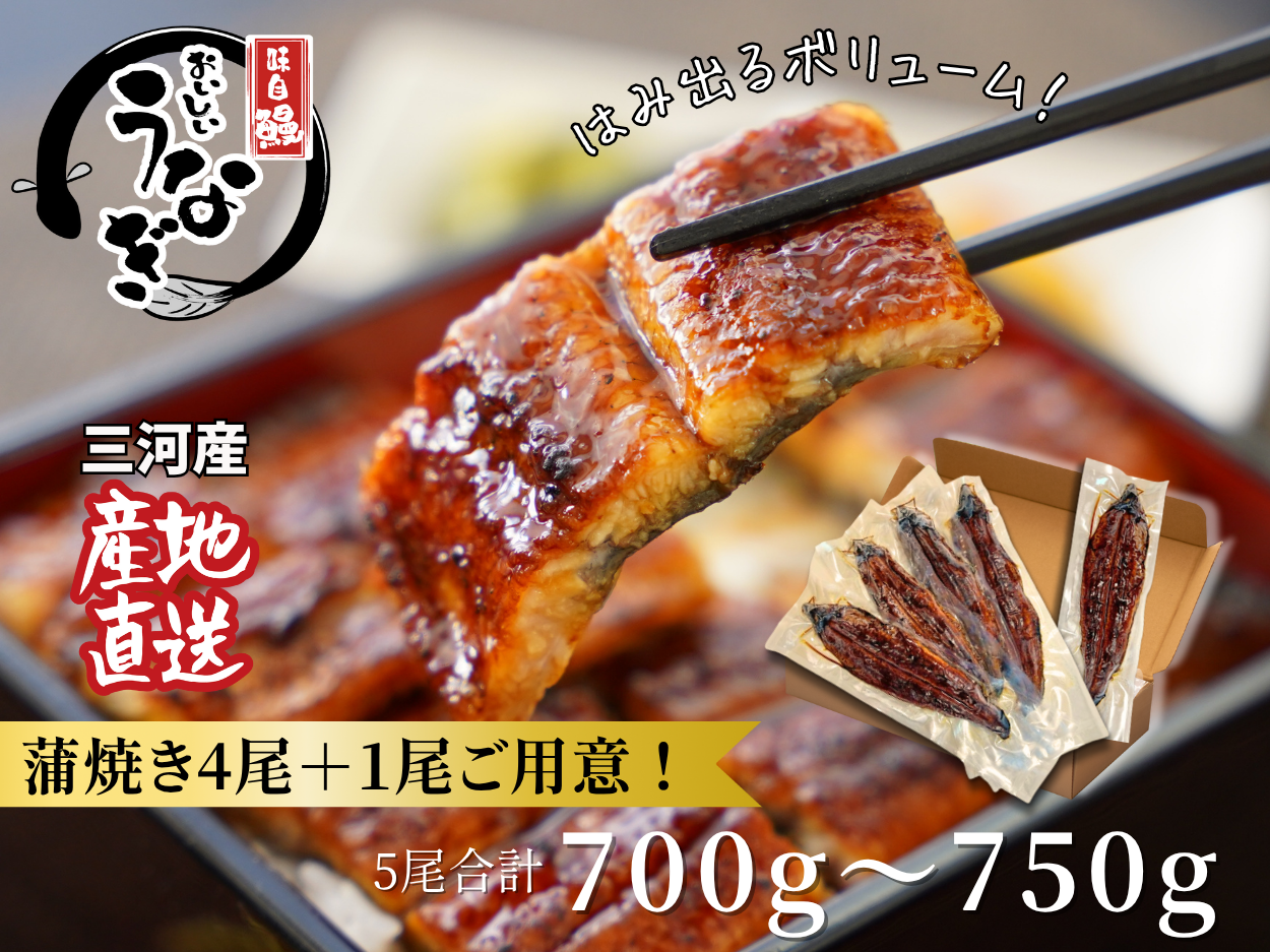 三河産うなぎ「蒲焼大サイズ4尾+1尾(計700～750g)」・A202
