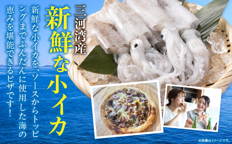 コイカピザ 3枚セット・K329