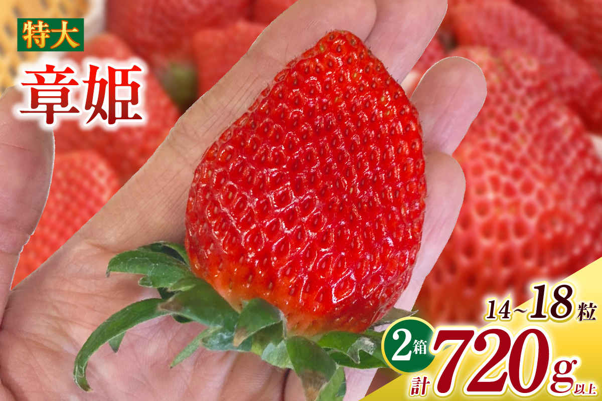 特大いちご(章姫)　360g以上(7～9粒)×2箱 ・O044-21