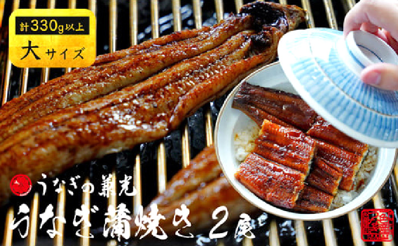 愛知県三河一色産　うなぎ蒲焼き　大サイズ2尾(合計330g以上)・U023-14