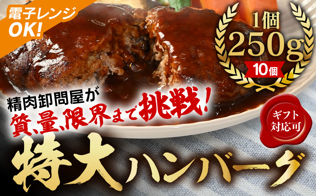 【250ｇ×10個】精肉卸問屋が自信をもってお届けする特大ハンバーグ（デミグラスソース）・T098