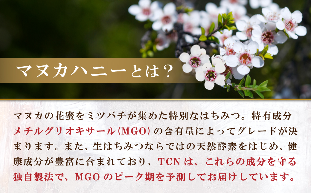 【定期便全12回】マヌカハニー MGO220+ 250g インカナムマヌカハニー・T142