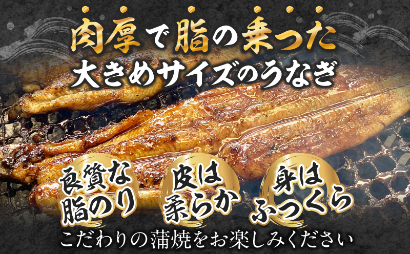 三河一色産手焼きうなぎの蒲焼と肝焼【蒲焼パック冷凍×3尾、肝焼×3個】・M099