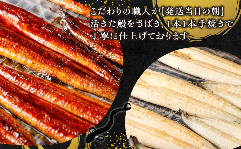 リピート続出！大サイズ335g以上　職人の手焼　食べ比べ2尾（蒲焼白焼各1尾）・Y082-17