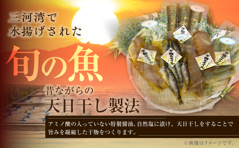 菜種油漬け干物セット・T139