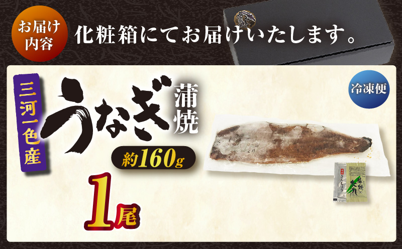 三河一色産うなぎ蒲焼 １尾（約160g）化粧箱入・O060