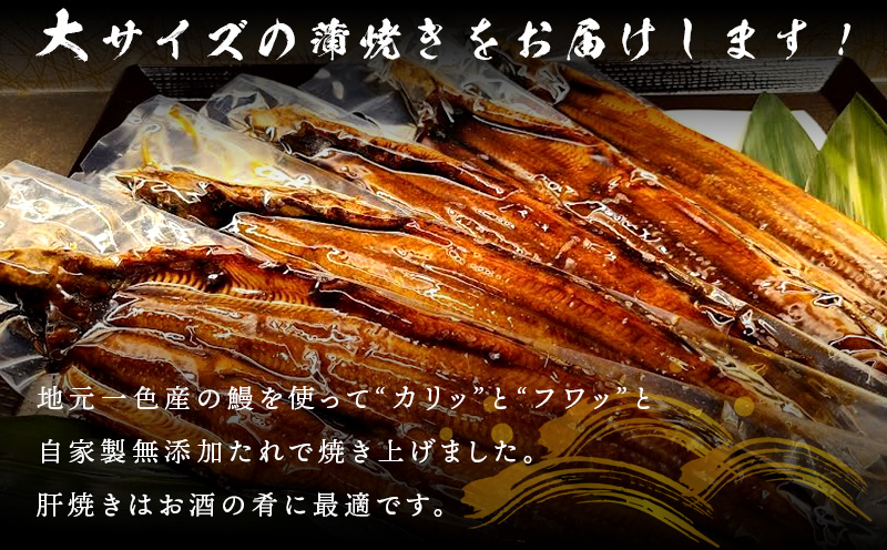 荳画イウ荳濶イ魏サ(螟ァ繧オ繧、繧コ)闥イ辟シ縺5蟆セ+驫縺溘i辣ァ辟シ縺5蛻繧後そ繝繝医サF028