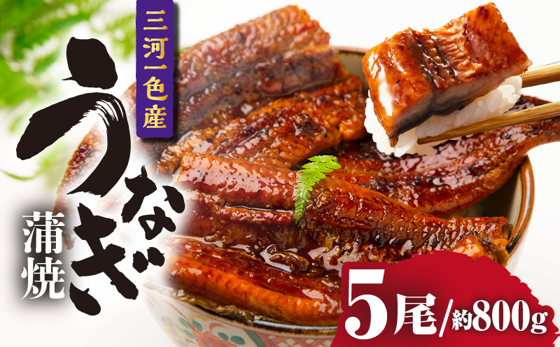 三河一色産うなぎ蒲焼 5尾（約800g）・O069