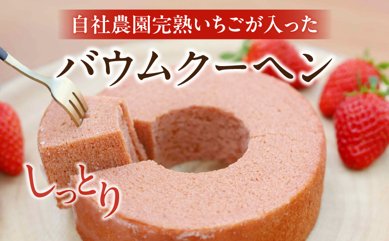 繝舌え繝繧ッ繝シ繝倥Φ縲縺縺。縺斐サK312