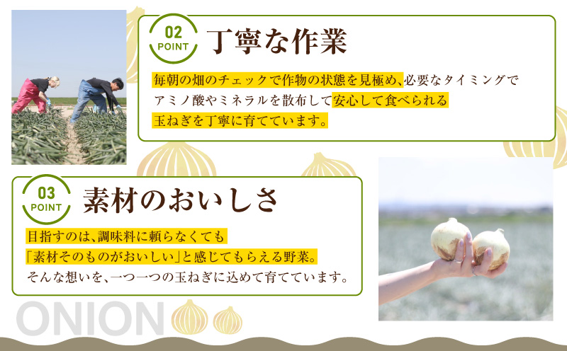 口に広がる優しい甘さの玉ねぎ ～真玉～　5kg(箱の重さ込み）・S097