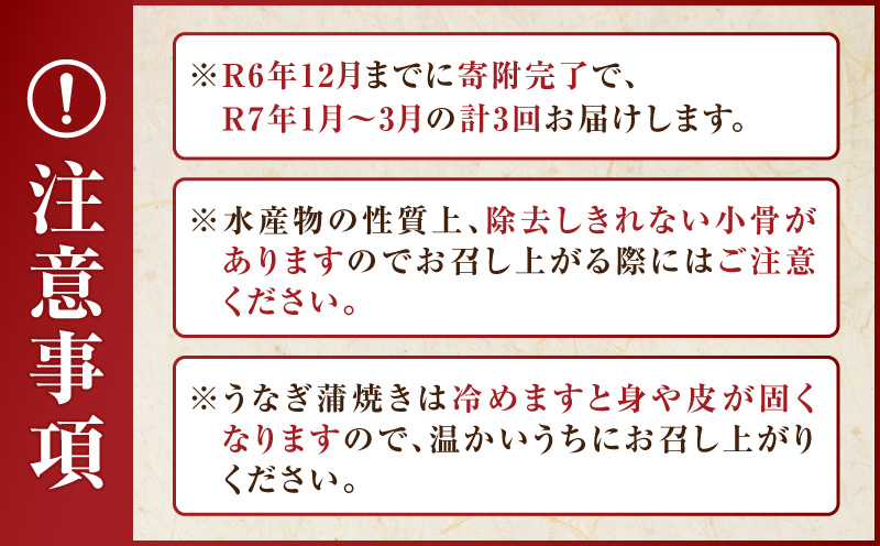 【定期便】三河産うなぎ「超特大蒲焼き2尾(合計400～420g)」×3回(R7年1～3月配送)・A191