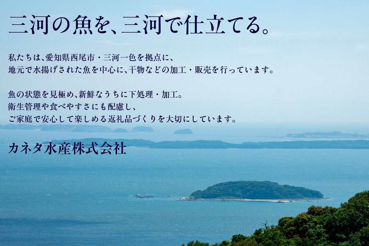 西尾の地魚　干物セット・K015-13