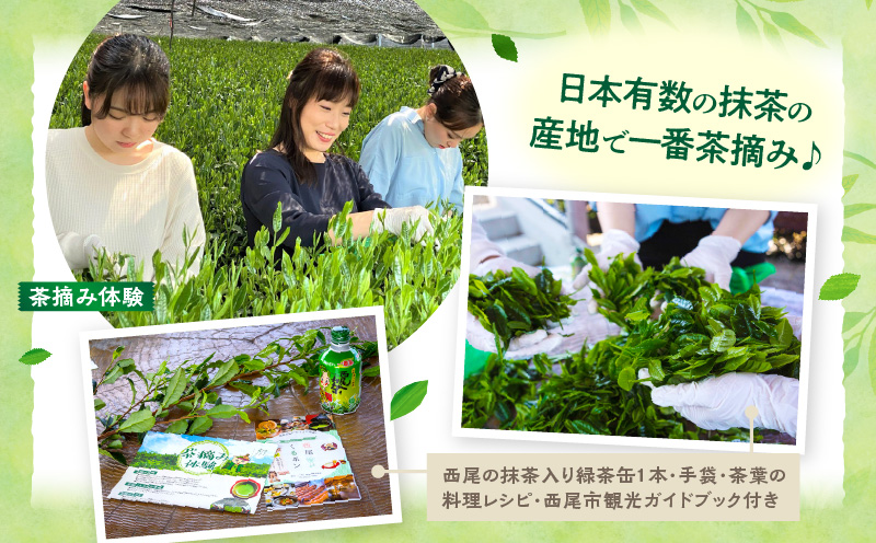 【体験期間4月末～5月中旬】一番茶茶摘み体験と抹茶工場見学(平日)チケット1名分・N065