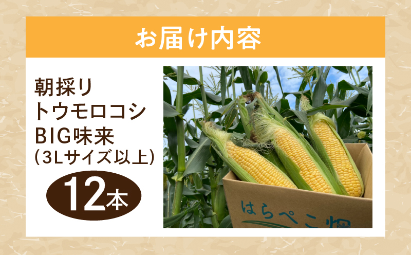 まるで食べるコーンスープ【BIG味来】12本 とうもろこし・H061