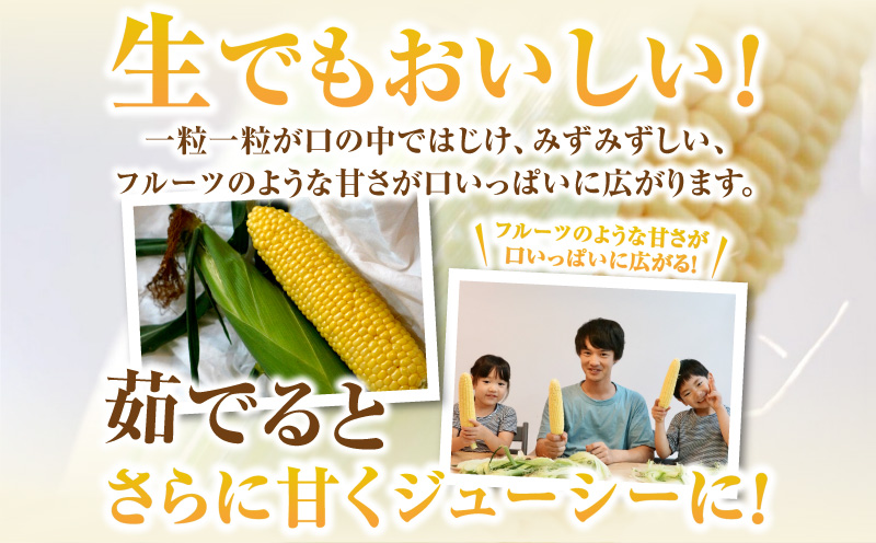 朝採れ！プレミアム味来　～金色の実り～　4.5kg以上(2L〜L)・S064