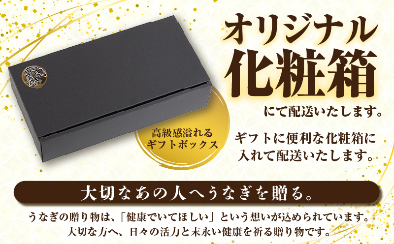 三河一色産うなぎ蒲焼 １尾（約160g）化粧箱入・O060