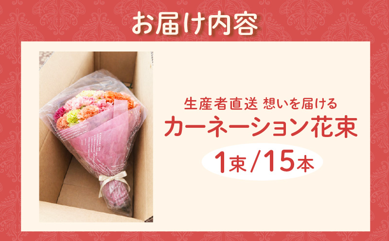 【母の日までにお届け（4/20までに決済完了）】生産者直送　想いを届けるカーネーション花束・T164