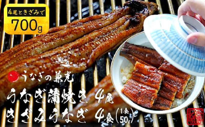 愛知県三河一色産うなぎ蒲焼き4尾+きざみうなぎ2食入り×2パック　セット(長焼き4尾で500g+きざみうなぎ(50g×2食)×2パック)・U024-23