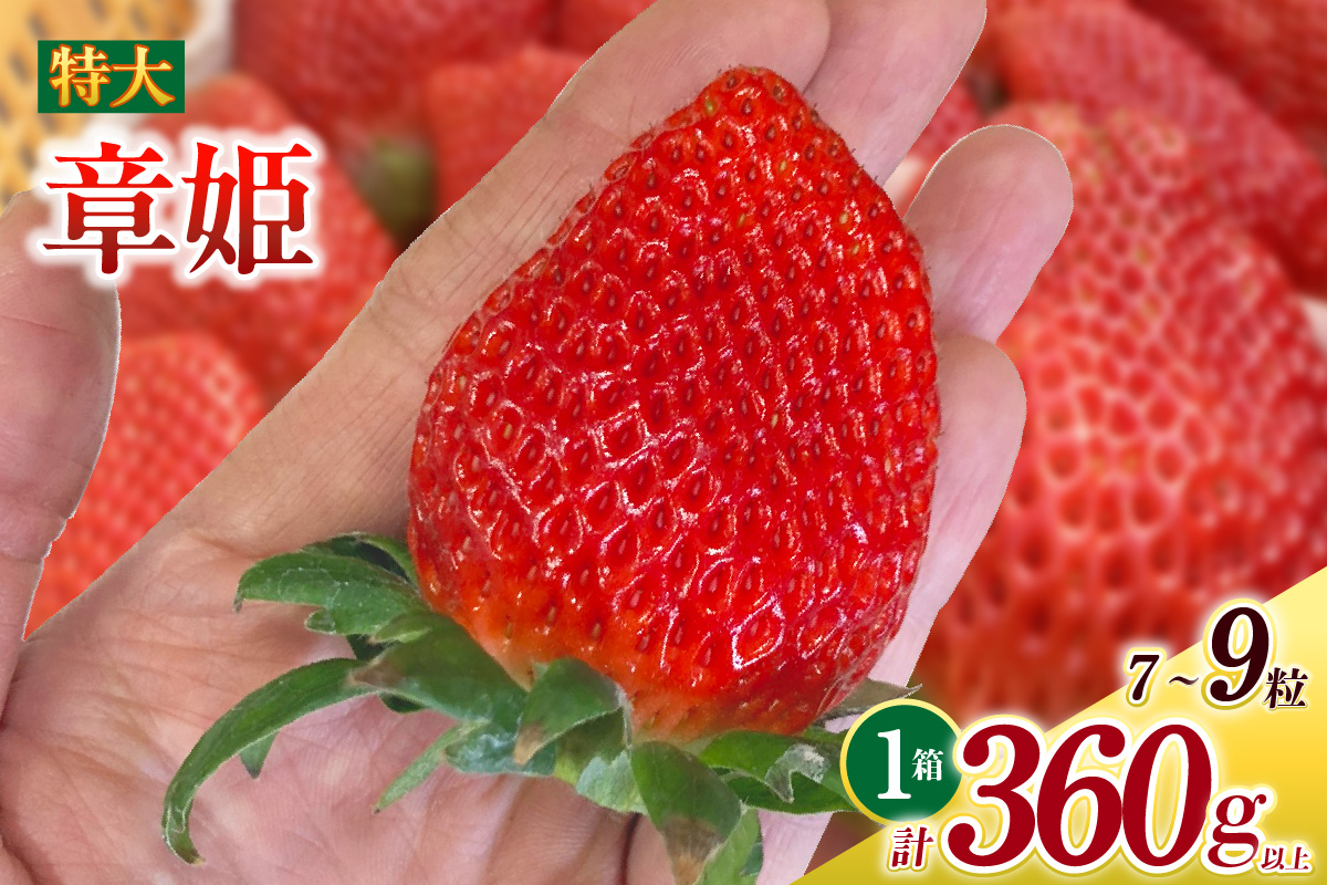 特大いちご(章姫)　360g以上(7～9粒)×1箱・O038-12