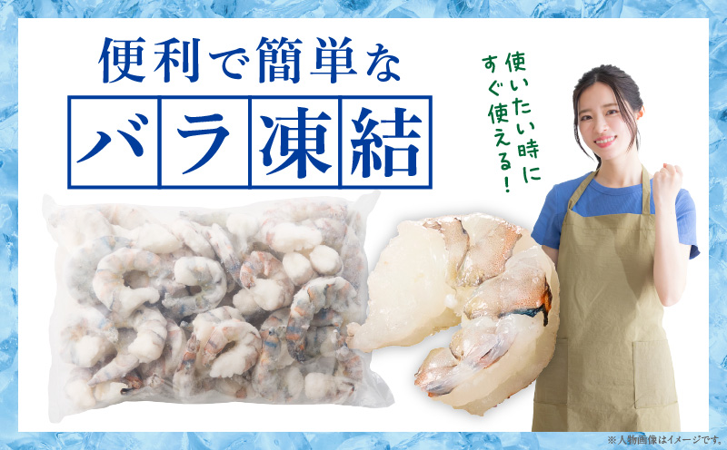 【高級】特大ブラックタイガーむきえび　約1.2㎏（正味1㎏）《配達不可エリア：北海道・沖縄・離島》・K319