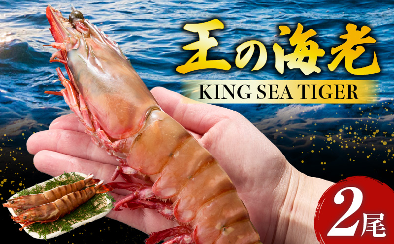 【高級】King Sea Tiger 王の海老2尾・K305