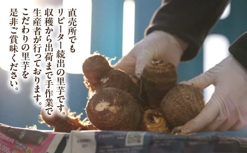 絶品里芋　～天晴れ～　6kg・S068