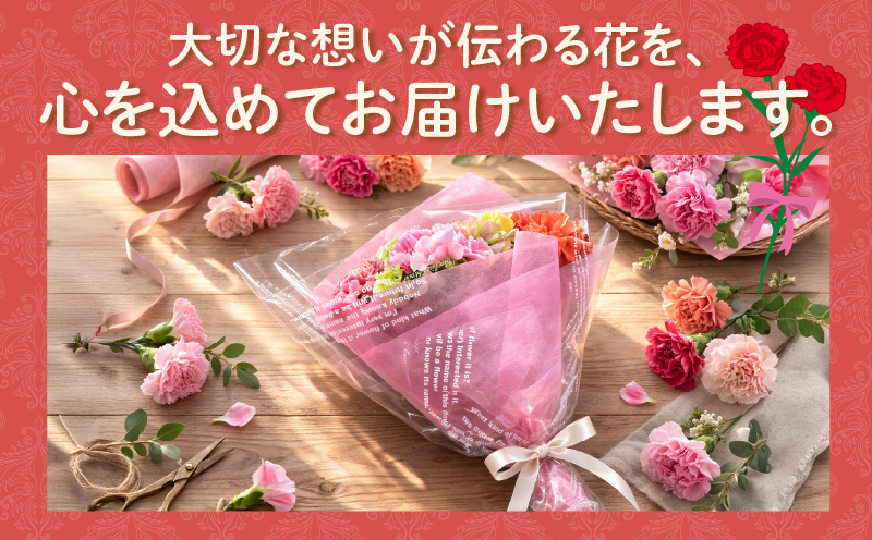 【母の日までにお届け（4/20までに決済完了）】生産者直送　想いを届けるカーネーション花束・T164