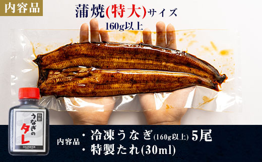 三河一色産うなぎ蒲焼特大5尾(計800g以上)・R045