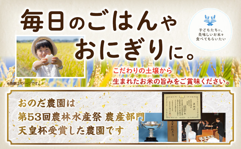 【令和7年産】おのださんちのハッピー米(コシヒカリ)白米5kg×2・O017-26