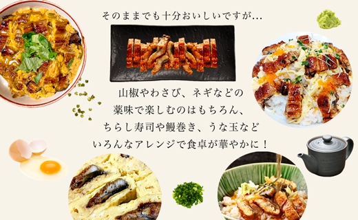 【生活応援】愛知県三河一色産　お手軽　きざみうなぎ　50g×（20+5）P・U038-24