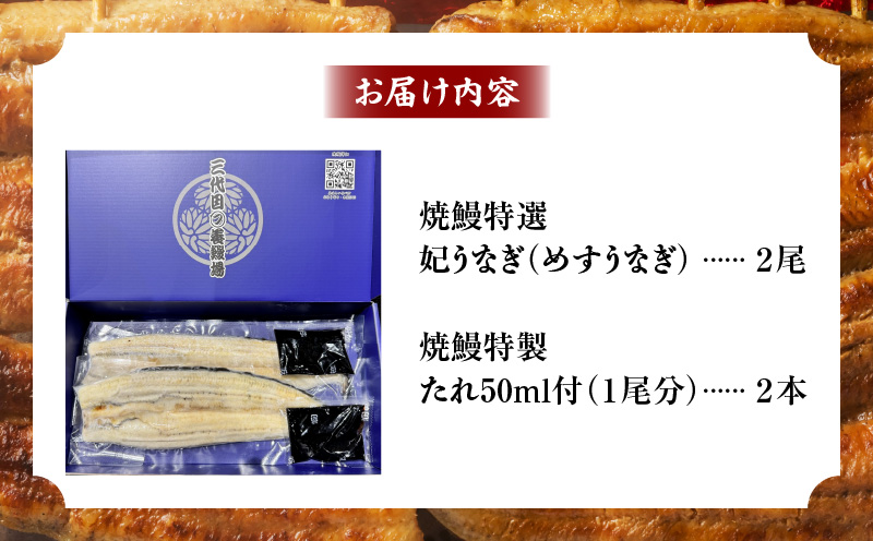 焼鰻特選メス妃うなぎ特大2尾　計340g　（白焼き・たれ付き）・Y098