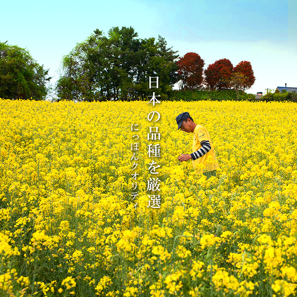 【12月限定価格】薪焙煎　純国産菜種100%ほうろく菜種油伝承油1本　ほうろく菜種油荒搾り油1本・H003-20_c2