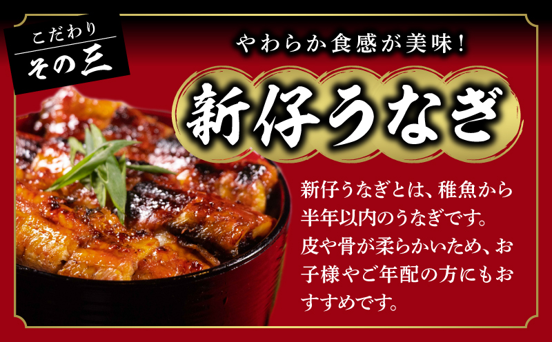 一色産うなぎ　炭焼き蒲焼2尾　職人手焼き 鰻 ウナギ うなぎ 蒲焼 国産 うなぎ蒲焼 タレ付き たれ 国産うなぎ 蒲焼き うな丼 丑の日 土用の丑の日・I034-18