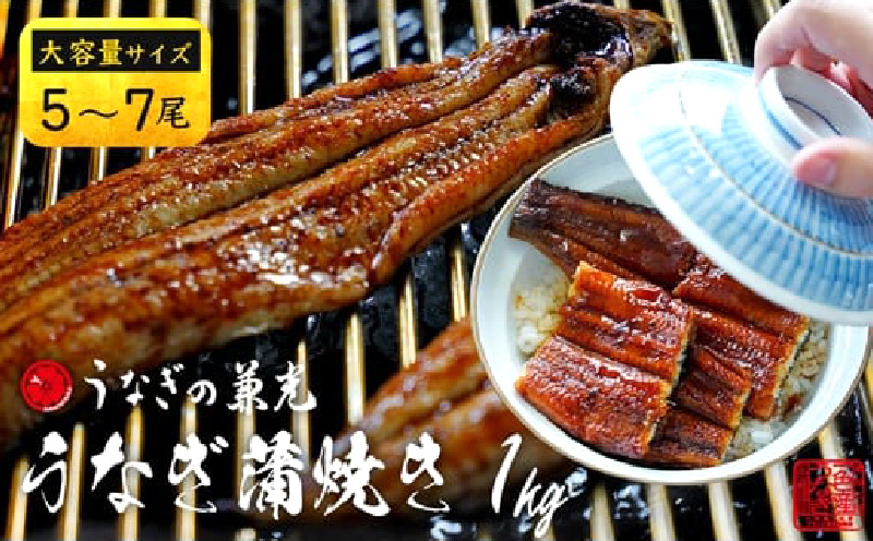 大ボリューム1kg　愛知県三河一色産　うなぎ蒲焼き　（5尾～7尾）・U040-33
