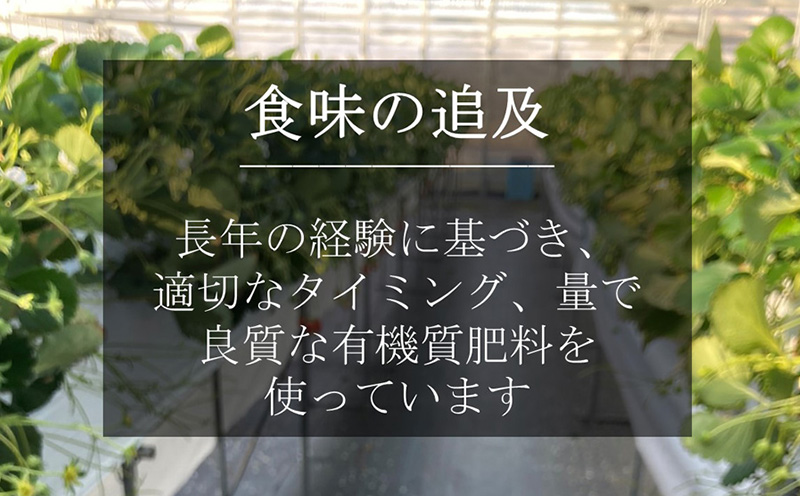 特大いちご(章姫)　360g以上(7〜9粒、1粒40g以上)×2箱 ・O044-19／オオダケイチゴ 