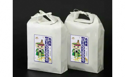 【令和7年産】西尾のお米10kg(こしひかり5kg×2)・K195-31