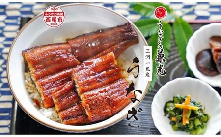 愛知県三河一色産うなぎ蒲焼き　超特大サイズ2尾(合計500g以上) 国産 愛知県産 西尾市産 西尾一色産 うなぎの兼光 鰻 ウナギ 蒲焼き 惣菜 総菜 タレ付き たれセット 海鮮 魚 丑の日 土用の丑の日 ・U039-20