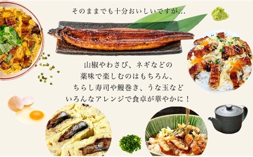 愛知県三河一色産うなぎ蒲焼き4尾+きざみうなぎ2食入り×2パック　セット(長焼き4尾で500g+きざみうなぎ(50g×2食)×2パック)・U024-21