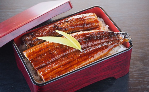 愛知県三河一色産　うなぎ蒲焼き　大サイズ2尾(合計330g以上)・U023-13