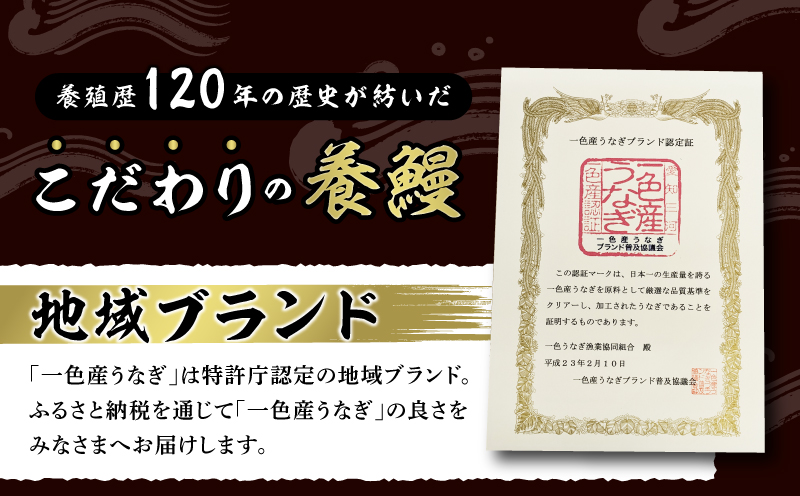 一色産うなぎ 無頭 長蒲焼 パック2尾(約240g) ・I048-13-1