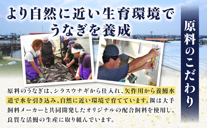 愛知県三河一色産 めすうなぎ「艶鰻」うなぎ蒲焼き （計2尾400ｇ以上）・U048