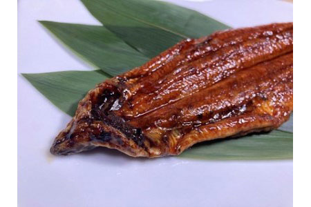 【期間限定】三河産　超特大うなぎ「蒲焼冷凍×2尾」・A090-17