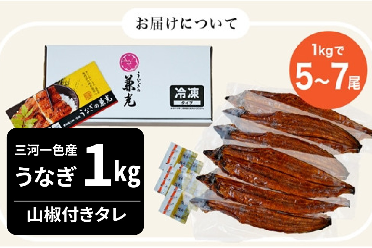 大満足1kg　愛知県三河一色産　うなぎ蒲焼き（5尾～7尾）・U040-30