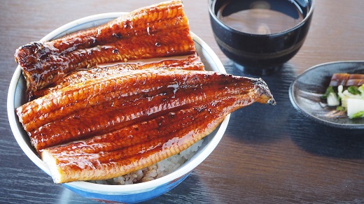 愛知県三河一色産　うなぎ蒲焼き　大サイズ2尾(合計330g以上)・U023-13
