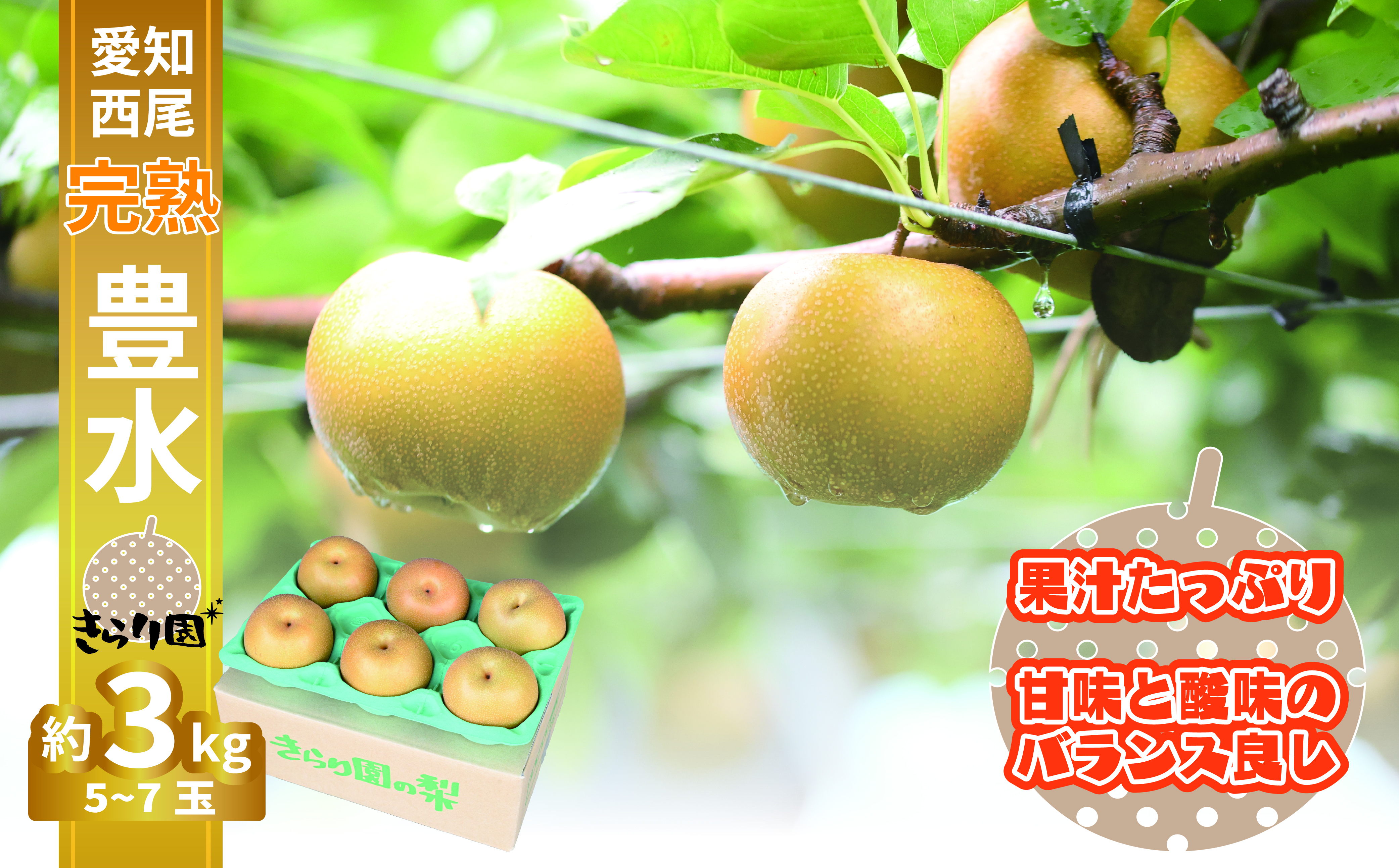 【数量限定】＜きらり園＞ 完熟 豊水梨 3kg・K341