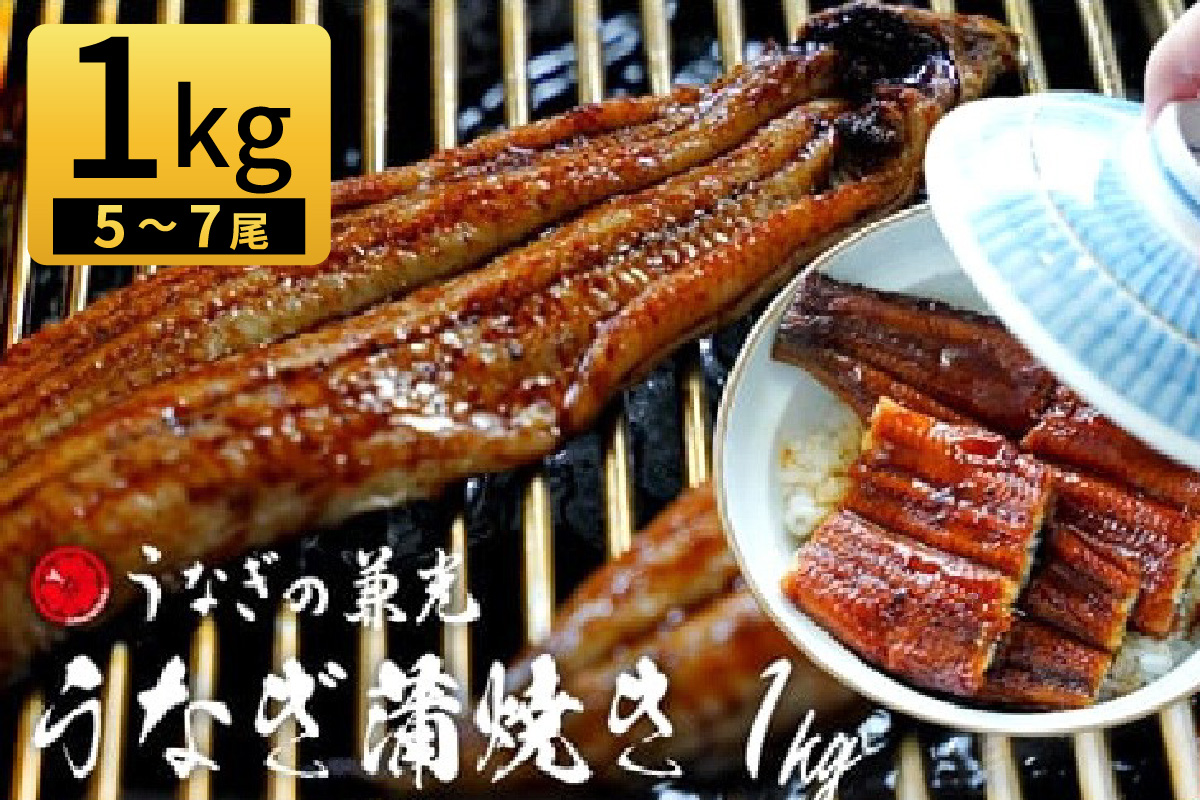 大満足1kg　愛知県三河一色産　うなぎ蒲焼き　（5尾～7尾）・U040-33