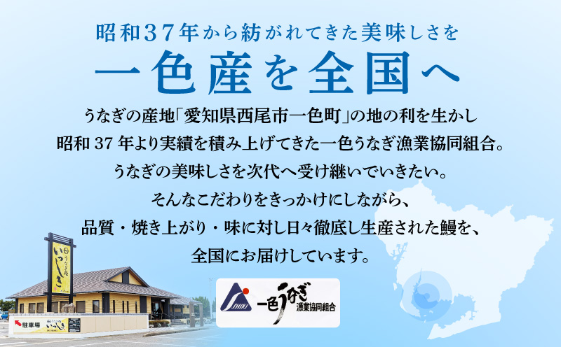 一色産めすうなぎ無頭長蒲焼2尾（300g）・I059-17