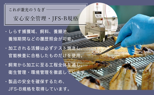 大満足1kg　愛知県三河一色産　うなぎ蒲焼き（5尾～7尾）・U040-30