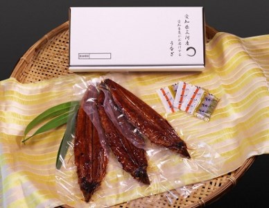 「生産者愛知養魚」がお届けする三河産うなぎ「蒲焼冷凍＜超特大＞3尾(合計580g〜600g)」 うなぎ 蒲焼き 鰻 ウナギ 国産うなぎ 愛知県 西尾市 大きいうなぎ 丑の日 土用の丑の日 ・A091-26